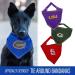 Pets First NCAA Florida Gators Tie Bandana | Large/X-Large | Game-Day Party Bandana FL-3550-X-L - Buy Online on GoSupps.com