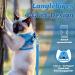 Supet Cat Dishes - Breaking-Safe Cat Linen & Soft Vest for Kittens & Chihuahua (L Light Blue) - Perfect for International Shipping - Buy Online on GoSupps.com