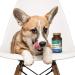 PetNC Natural Care Senior Dog Multi-Vitamin - Liver Flavor, 60 Chewables - Buy Online on GoSupps.com