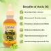 Savage Organics Organic Amla Oil - 100% Pure Cold Pressed Hair & Beard Oil - Indian Gooseberry for Hair Growth & Scalp - 2oz or 4oz Glass Bottle - Buy Online on GoSupps.com