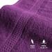 Class Home Collection Terry Guest Towels - 100% Cotton Aubergine Set of 4 30x50 cm - Perfect for Stylish Hospitality - Buy Online on GoSupps.com
