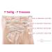 100% Real Hair Clip-In Extensions Set - 7 Part 70g 45cm No. 18/613 Dark Blonde/Blonde - Universal Shipping - Buy Online on GoSupps.com