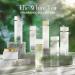 Elizabeth Arden White Tea Eau Fraiche 3.3 Fl Oz (Pack of 1) Musky Floral Woody 3.3 Fl Oz (Pack of 1) - Buy Online on GoSupps.com