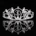 FRCOLOR 30th Birthday Tiara Bling Rhinestone Tiara 30th Birthday Crown for Hair Decoration - Buy Online on GoSupps.com