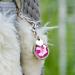 Soulhorse Bridle Ranges & Lucky Charms for Horses | Keychains & Trailer Charms with Artificial Stone - Shop Charm Lucky Stone Rose - Buy Online on GoSupps.com