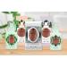 pH Balanced Fragrance-Free Feminine Foaming Wash | Sulfate & Paraben-Free | 6 fl oz - Buy Online on GoSupps.com