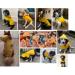 Waterproof Dog Raincoat - Soft Food Leaving Coat for Small Medium & Large Dogs (11-71) - Yellow Rain Jacket - Buy Online on GoSupps.com