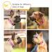 Heele Reflective Dog Collar | Soft Neoprene Padded Nylon for Small to Large Dogs | Adjustable 40-66 cm | Pink - Buy Online on GoSupps.com