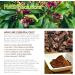 Buy 100% Pure Clove Essential Oil - Therapeutic Grade - 120ml | International Shipping Available - Buy Online on GoSupps.com