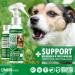 MediPaws Dog Calming Spray 250ml | Natural Solution for Dog Emotions, Barking & Aggression | Promotes Calmness During Fireworks, Separation & Vet Visits - Buy Online on GoSupps.com