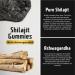 Pure Himalayan Shilajit Gummies with Ashwagandha | High Fulvic Acid | 85+ Minerals | Boost Immunity & Energy | Vegan | 60 Gummies - Buy Online on GoSupps.com