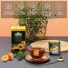 Ahmad Tea Apricot Sunrise Black Tea with Apricot 20 Individually Packaged Aroma-Sealed Bags (2-Pack) - Premium Quality Fruit Tea - Buy Online on GoSupps.com