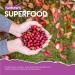 Cranberry Gummies 1000mg - Organic Cranberry Extract Supplement - 60 Vegan Gummies - Kosher Halal - Buy Online on GoSupps.com