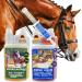 Rice Germ Oil Flaxseed Oil Amino Acids 2*1L 30ml for Horses Plus Vitamin E + Amino More Complex Muscle Building Selenium Free Lysine Replenishing Food Supplement