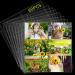 60 Pcs Graduation Scrapbook Refill Pages 12 x 12 Inches Photo Album Protective Sleeves Clear Scrapbook Page Sheet Protectors Scrapbooking Album Refills for 3 Ring Binders (4 x 6'' Landscape) - Buy Online on GoSupps.com