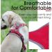 Thinkpet No-Pull Dog Harness | Breathable Adjustable Safety Harness for Small Medium & Large Dogs | Padded Reflective Running Harness Bright Red 2XL (1 Pack) - Buy Online on GoSupps.com
