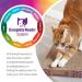 SmartyKat Scratch Up Hanging Corrugated Cat Scratcher | Catnip Infused | Promotes Healthy Nail Growth | Single Pack - Buy Online on GoSupps.com