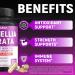 Boswellia Capsules with Boswellia Turmeric Quercetin and More - 90 Capsules for 3 Months Supply - Buy Online on GoSupps.com