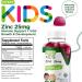 Kids Zinc Gummies 25mg - Immune Support & Antioxidant - Berry Flavor Chewable Supplement - Gluten Free & GMO Free - Buy Online on GoSupps.com