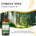 EUQEE Forest Pine Fragrance Oil 60ml - Premium Grade Aromatherapy Essential Oil for Diffusers and DIY Candle Making - Buy Online on GoSupps.com