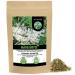 Alpi Investment OOD Meadowsweet tea 250g filipendula cut gently dried 100 pure and natural for the preparation of tea meadowsweet tea herbal tea 250 GR