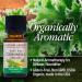 Nature's Answer Organic Citronella Essential Oil - 100% Pure Aromatherapy (15ml) | Steam Distilled, Made in USA - Buy Online on GoSupps.com