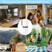 Travel Toothbrush Holder with Rinse Cup - Set of 2 | Multifunctional & Portable - Buy Online on GoSupps.com