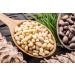 Buy Mynatura Bio Cedar Nuclei - Siberian Wild Collection 500g | Premium Pine Nuts Snack Mix | Healthy Nut Mix - Buy Online on GoSupps.com