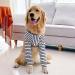 Dog Front Leg Brace Adjustable Easy to Wear Soft Pet Dog Elbow Protector for Postoperative Recovery (L) - Buy Online on GoSupps.com