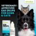 Otodex Petlife Ear Drops 14ml - Effective Solution for Pet Ear Care - Buy Online on GoSupps.com