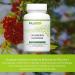 Plusvive - 120 Capsules Cranberry and Mannose Enriched with Methionine Pumpkin Seed Dandelion and Vitamin C 100% Vegan - Buy Online on GoSupps.com