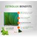 EstroLux Estrogen Tablets - Natural Blend with Chlorella, Vitamin B6, and Herbs - 120 Capsules by Sensilab - Buy Online on GoSupps.com