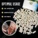 Buy Premium Nitric Oxide Supplement for Men - 6-in-1 Blood Flow Stamina & Energy Booster | 120 Capsules - Fast International Shipping - Buy Online on GoSupps.com
