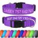 Tagme personalized dog collar for small dog with embroidered reflective nylon dog collar with pet name & telephone number purple XS XS (1 Pack) purple