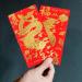 CAXUSD 30pcs Envelopes New Year Gift Festival Red Envelope Traditional Red Pocket Year of Dragon Red Envelops Red Money Pocket Chinese Red Envelope New Year Envelope Large Pack Paper - Buy Online on GoSupps.com