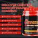 WeiWeiLa Creatine Monohydrate Gummies Creatine Monohydrate per Serving Chewable Creatine for Muscle Builder Energy Boost 120 Gummies - Buy Online on GoSupps.com