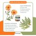 Farm and yard remedies Phytopet Thuja Cream | Abnormal Skin Growth Warts Sarcoids and Warts | Dogs Cats Birds Horses Farm Animals and Small Mammals | 150g | - Buy Online on GoSupps.com