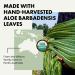 Organic Pure Aloe Vera Gel for Face, Hair & Body - Australian Hand Harvested & Cold Pressed - Soothing & Hydrating After Sun Skin Care - Buy Online on GoSupps.com