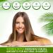 Reetha Powder (Aritha) - 100g - Naturally cleanses skin and hair helps fight dandruff and nourishes hair - 100% natural - Buy Online on GoSupps.com