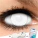 Dead Zombie Colored Contact Lenses - 100% White 60% Vision No Prescription Pack of 2 - International Shipping Available - Buy Online on GoSupps.com