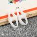ALINZO Bunion Corrector & Toe Separators - Orthopedic Splint for Big Toe Pain Relief and Straightening - Hallux Valgus Brace - Buy Online on GoSupps.com