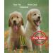 PETS BUDDY Tick Remover Tool 3 Pcs Tick Remover Tools for Dogs Cats Horses and Even Humans - Buy Online on GoSupps.com