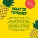 De La Calle Tepache - Certified Organic Pineapple Beverage, Naturally Fermented, Antioxidant Rich, Low Sugar - Nueva Variety Pack - Buy Online on GoSupps.com