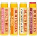 Buy Burt's Bees 100% Natural Moisturizing Lip Balm - Superfruit Flavors: Pink Grapefruit Mango Coconut & Pear Pomegranate - 4 Tubes | International Shipping Available - Buy Online on GoSupps.com
