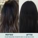 Black Henna Hair Color Dye - Organic PPD-Free 100% Gray Coverage All-Natural Semi-Permanent Safe for Sensitive Scalp | Ouiloe 100g - Buy Online on GoSupps.com