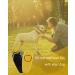 Buy TODREMOU Dog Whistle & Clicker Set - High Frequency Training Tool for Dogs | International Shipping - Buy Online on GoSupps.com