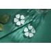 XIANNVXI 10 Pcs Clear Quartz Crystals Heart Gemstone Set - Reiki Crystal Beginner's Gifts | Polished Love Palm Pocket Stones - Buy Online on GoSupps.com