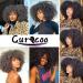 CurlCoo Short Curly Afro Wig with Bangs for Black Women - 14 Inch Synthetic Heat Resistant Full Wig in Black - Buy Online on GoSupps.com