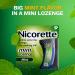 Quit Smoking Lozenges: Fast-Acting Nicotine Relief - Buy Online on GoSupps.com