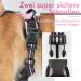 Rabbitgoo No-Pull Dog Harness for Small Dogs - Adjustable & Breathable with Reflective Stripes - Safe Control Breast Harness for Large Dogs - Pink XS (1 Pack) - Buy Online on GoSupps.com